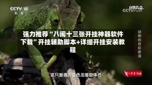 强力推荐“八闽十三张开挂神器软件下载	”开挂辅助脚本+详细开挂安装教程-第1张图片