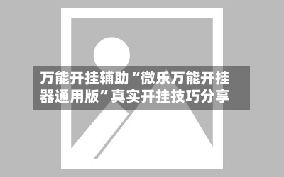 万能开挂辅助“微乐万能开挂器通用版”真实开挂技巧分享-第2张图片