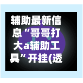 辅助最新信息“哥哥打大a辅助工具	”开挂(透视)最新辅助详细-第2张图片