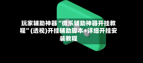 玩家辅助神器“微乐辅助神器开挂教程”(透视)开挂辅助脚本+详细开挂安装教程-第3张图片