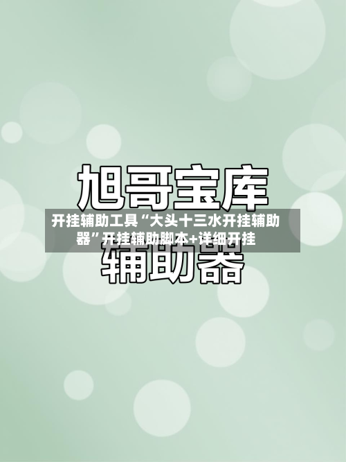 开挂辅助工具“大头十三水开挂辅助器	”开挂辅助脚本+详细开挂-第1张图片