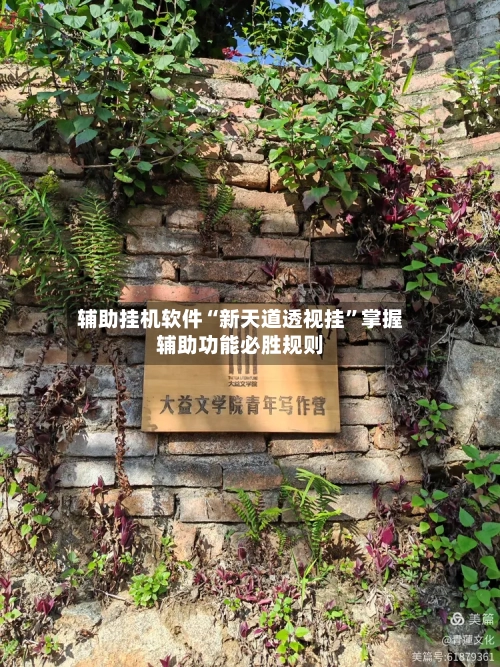 辅助挂机软件“新天道透视挂”掌握辅助功能必胜规则-第1张图片