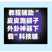 教程辅助“皮皮跑胡子外卦神器下载”科技辅助神器手机版-第3张图片