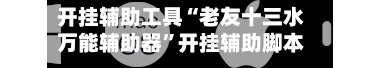 开挂辅助工具“老友十三水万能辅助器”开挂辅助脚本+详细开挂安装教程-第2张图片