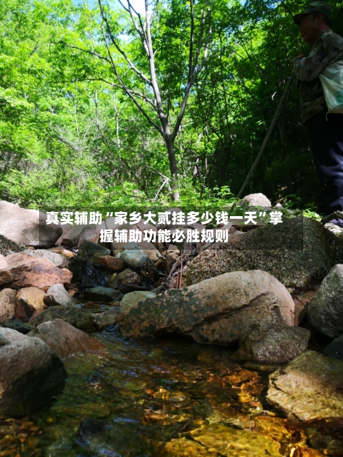 真实辅助“家乡大贰挂多少钱一天”掌握辅助功能必胜规则-第2张图片