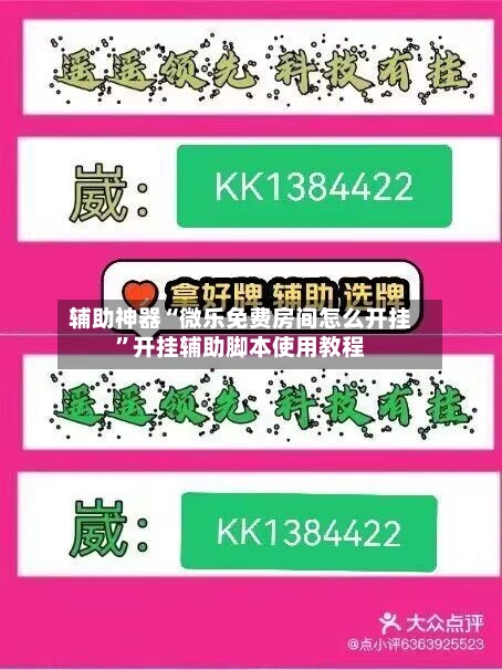 辅助神器“微乐免费房间怎么开挂”开挂辅助脚本使用教程-第1张图片