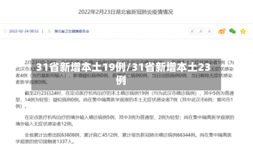 31省新增本土19例/31省新增本土23例-第2张图片