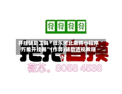 开挂辅助工具“微乐河北麻将小程序万能开挂器”(作弊)辅助透视教程-第3张图片