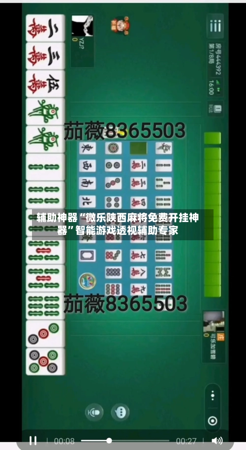 辅助神器“微乐陕西麻将免费开挂神器”智能游戏透视辅助专家-第1张图片