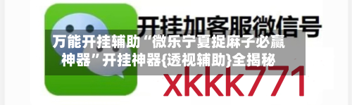 万能开挂辅助“微乐宁夏捉麻子必赢神器”开挂神器{透视辅助}全揭秘-第2张图片