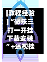 [教程经验]“微乐三打一开挂下载安装”+透视挂	”开挂辅助软件教程-第2张图片