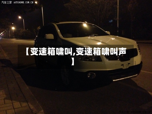 【变速箱啸叫,变速箱啸叫声】-第3张图片