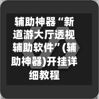 辅助神器“新道游大厅透视辅助软件	”(辅助神器)开挂详细教程-第1张图片