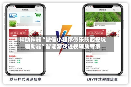 辅助神器“微信小程序微乐陕西挖坑辅助器	”智能游戏透视辅助专家-第1张图片