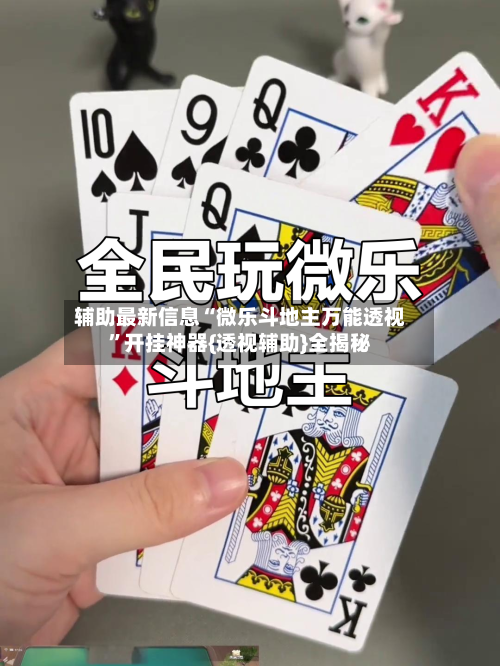 辅助最新信息“微乐斗地主万能透视”开挂神器{透视辅助}全揭秘-第2张图片