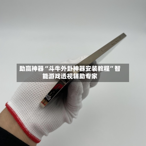 助赢神器“斗牛外卦神器安装教程”智能游戏透视辅助专家-第2张图片
