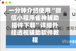 一分钟介绍使用“微信小程序雀神辅助插件下载”详细外挂透视辅助软件教程-第1张图片