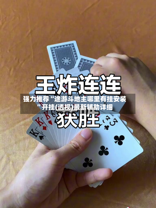 强力推荐“途游斗地主哪里有挂安装	”开挂(透视)最新辅助详细-第2张图片