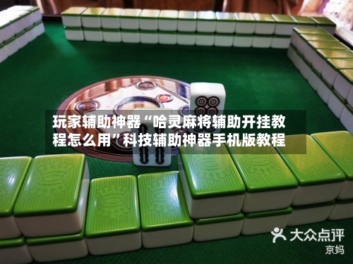 玩家辅助神器“哈灵麻将辅助开挂教程怎么用”科技辅助神器手机版教程-第2张图片