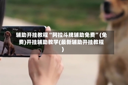 辅助开挂教程“阿拉斗牌辅助免费”(免费)开挂辅助教学(最新辅助开挂教程)-第1张图片