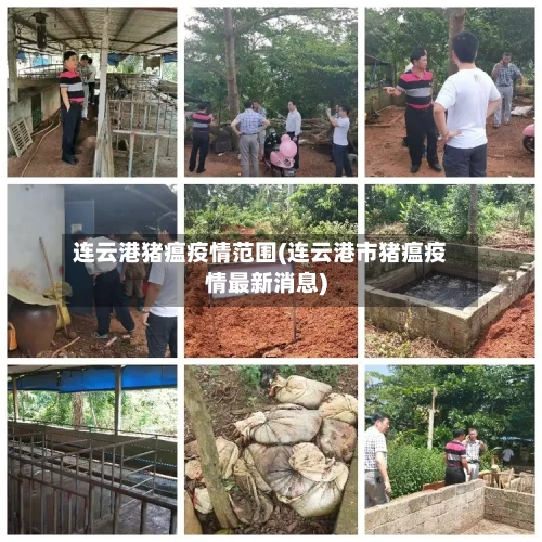 连云港猪瘟疫情范围(连云港市猪瘟疫情最新消息)-第1张图片