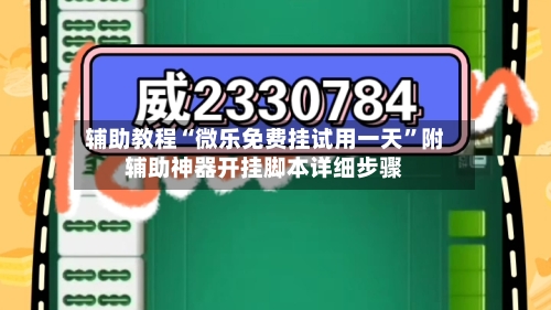 辅助教程“微乐免费挂试用一天	”附辅助神器开挂脚本详细步骤-第2张图片