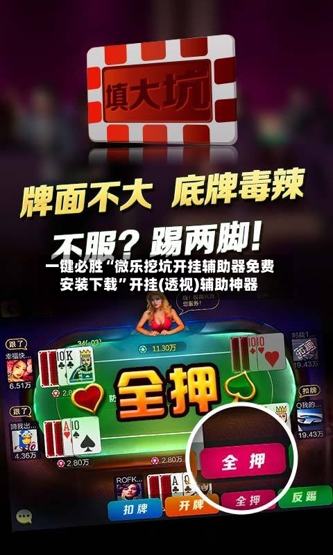 一键必胜“微乐挖坑开挂辅助器免费安装下载”开挂(透视)辅助神器-第1张图片