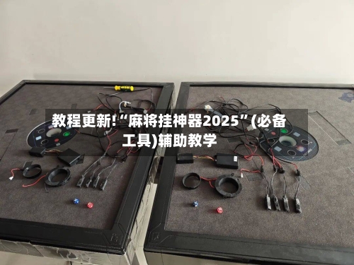 教程更新!“麻将挂神器2025”(必备工具)辅助教学-第2张图片