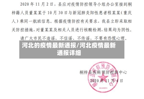 河北的疫情最新通报/河北疫情最新通报详细-第2张图片