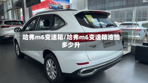 哈弗m6变速箱/哈弗m6变速箱油加多少升-第2张图片