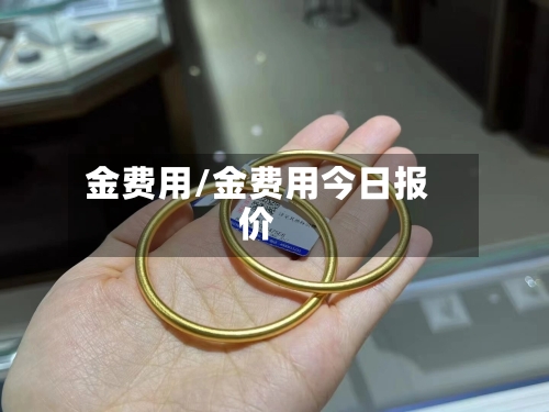 金费用/金费用今日报价-第3张图片