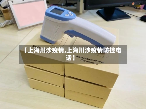 【上海川沙疫情,上海川沙疫情防控电话】-第3张图片