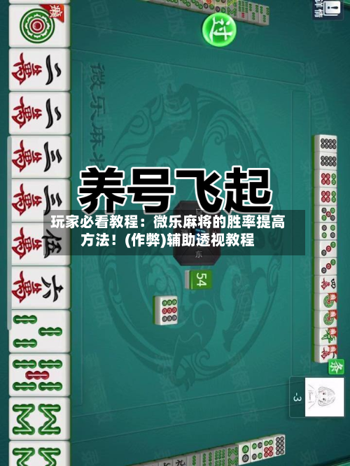 玩家必看教程:微乐麻将的胜率提高方法!(作弊)辅助透视教程-第1张图片
