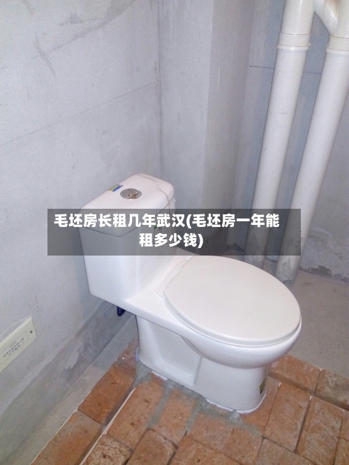 毛坯房长租几年武汉(毛坯房一年能租多少钱)-第1张图片