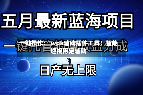 一键操作： wpk辅助插件工具！智能透视稳定辅助-第2张图片