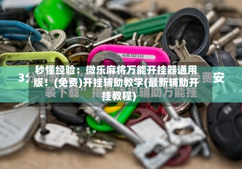 秒懂经验：微乐麻将万能开挂器通用版！(免费)开挂辅助教学(最新辅助开挂教程)-第2张图片