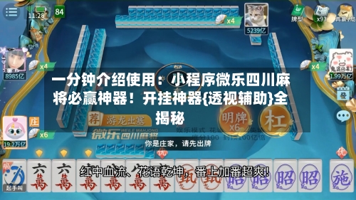 一分钟介绍使用：小程序微乐四川麻将必赢神器！开挂神器{透视辅助}全揭秘-第3张图片