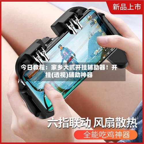 今日教程:家乡大贰开挂辅助器!开挂(透视)辅助神器-第1张图片