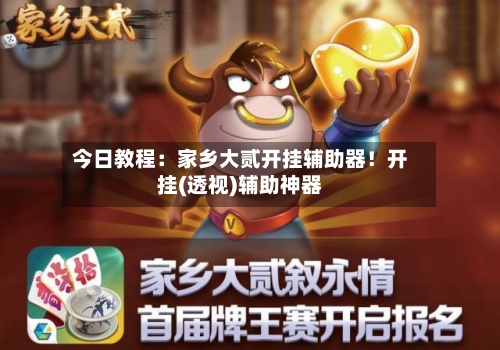 今日教程:家乡大贰开挂辅助器!开挂(透视)辅助神器-第2张图片