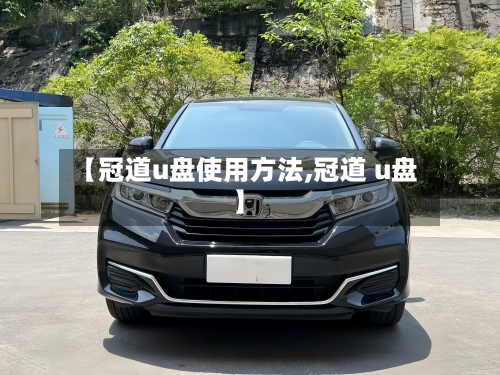 【冠道u盘使用方法,冠道 u盘】-第2张图片