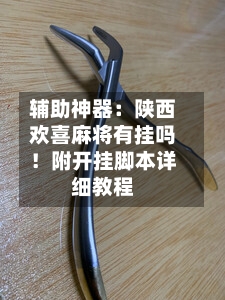 辅助神器:陕西欢喜麻将有挂吗!附开挂脚本详细教程-第3张图片