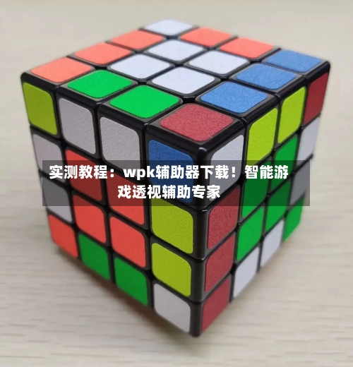 实测教程：wpk辅助器下载！智能游戏透视辅助专家-第2张图片
