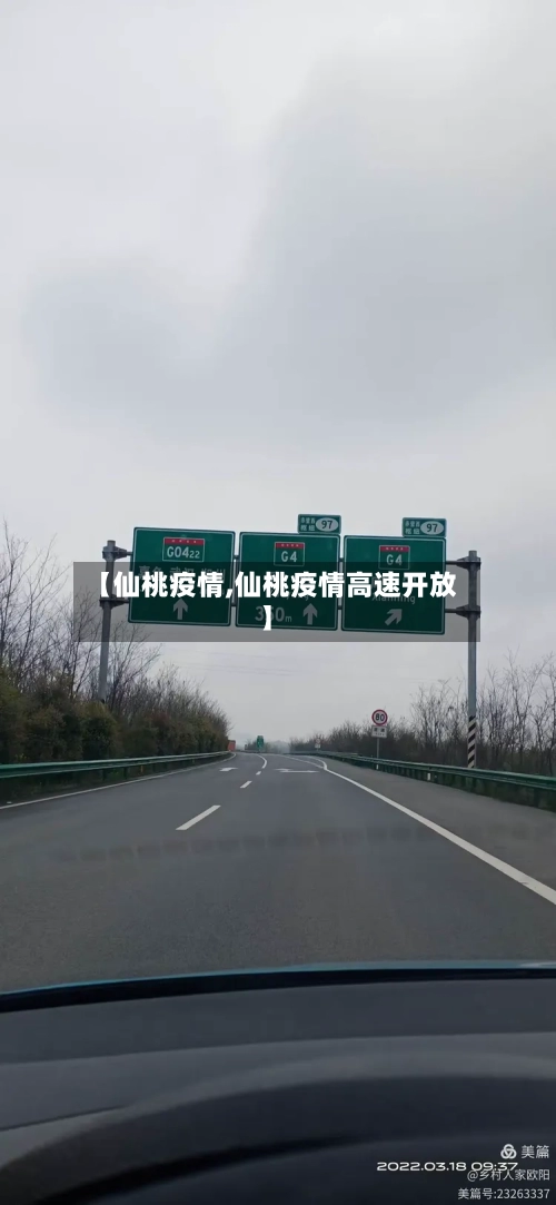 【仙桃疫情,仙桃疫情高速开放】-第2张图片