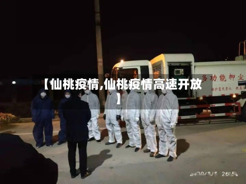【仙桃疫情,仙桃疫情高速开放】-第3张图片