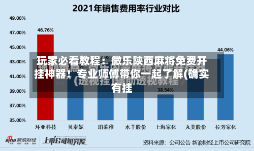玩家必看教程：微乐陕西麻将免费开挂神器！专业师傅带你一起了解(确实有挂-第3张图片