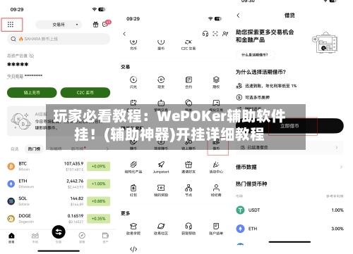 玩家必看教程:WePOKer辅助软件挂!(辅助神器)开挂详细教程-第2张图片