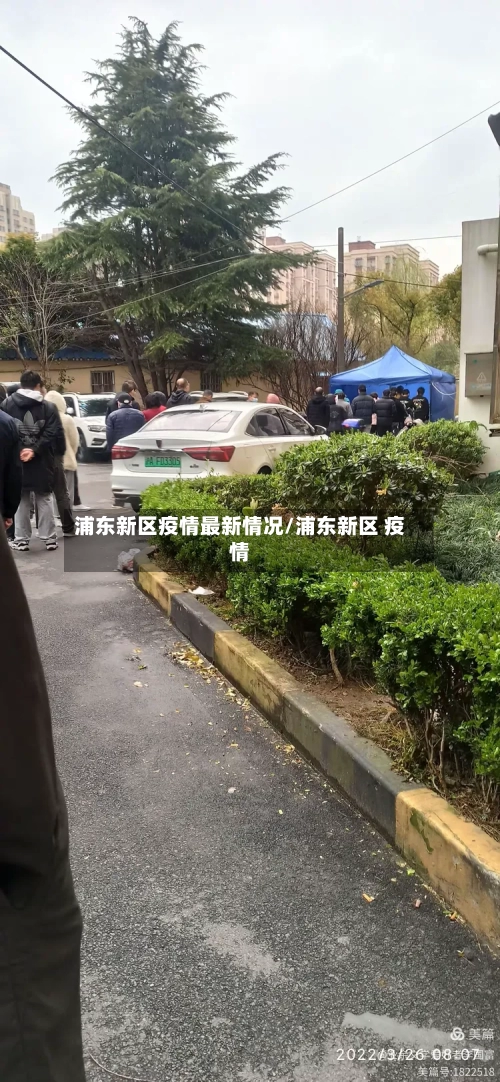 浦东新区疫情最新情况/浦东新区 疫情-第1张图片