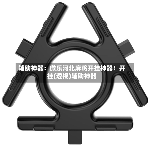 辅助神器：微乐河北麻将开挂神器！开挂(透视)辅助神器-第3张图片