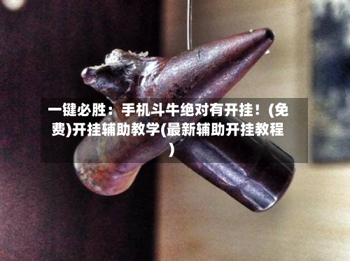 一键必胜：手机斗牛绝对有开挂！(免费)开挂辅助教学(最新辅助开挂教程)-第1张图片