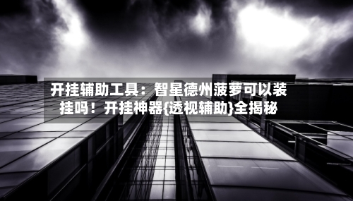 开挂辅助工具：智星德州菠萝可以装挂吗！开挂神器{透视辅助}全揭秘-第1张图片